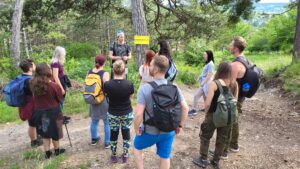 Wald-Tour Wanderung in Bad Vöslau mit Dominik Harant