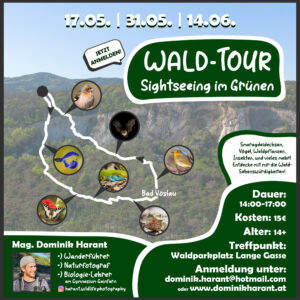 Wald-Tour - Sightseeing im Grünen